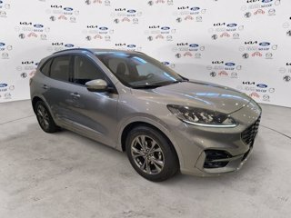 FORD Kuga 1.5 EcoBlue 120 CV 2WD ST-Line