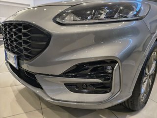 FORD Kuga 1.5 EcoBlue 120 CV 2WD ST-Line