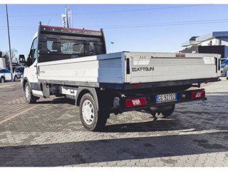 FORD Transit 350 L4 Trend 2.0 Eco MHEV 170 Cv CASSONE FISSO -PREZZO IVA INCLUSA